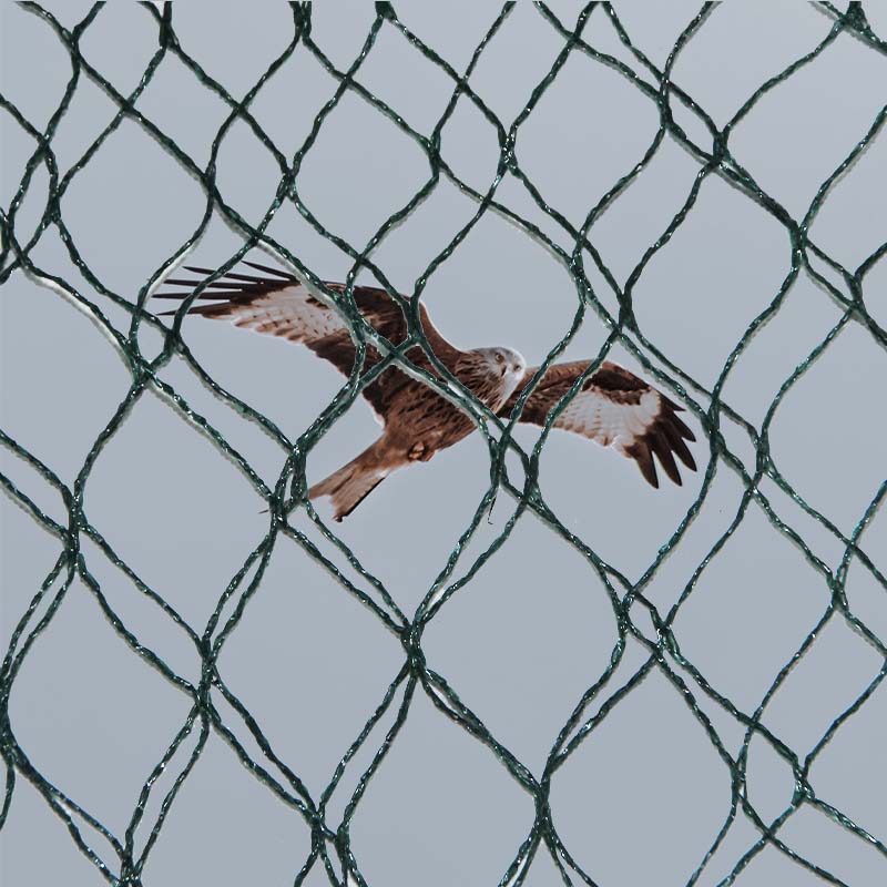 Aké sú možnosti výberu materiálov a výhody a nevýhody sietí na ochranu pred vtákmi?