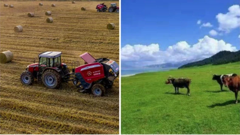 Aplikácia baliacej siete v poľnohospodárskych činnostiach