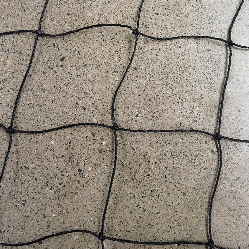 Úloha kriketových sietí