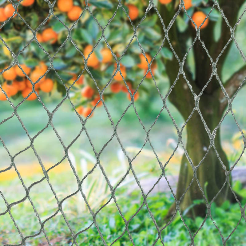 Chráňte svoju úrodu, majetok a investície pomocou našej vysokovýkonnej siete proti vtákom!