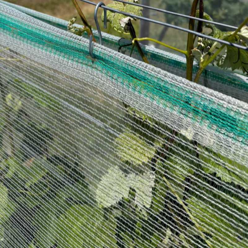 Poľnohospodárstvo HDPE sieťka proti krupobitiu Poľnohospodárstvo HDPE sieťka proti krupobitiu